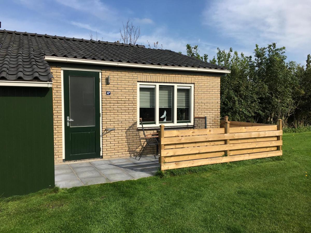 Bungalow Op Bedrijf Met Melkkoeien De Cocksdorp  Bagian luar foto